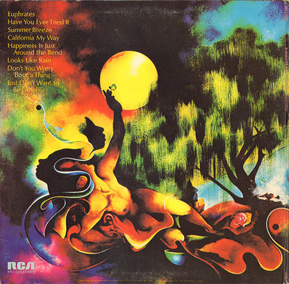 The Main Ingredient : Euphrates River (LP, Album)