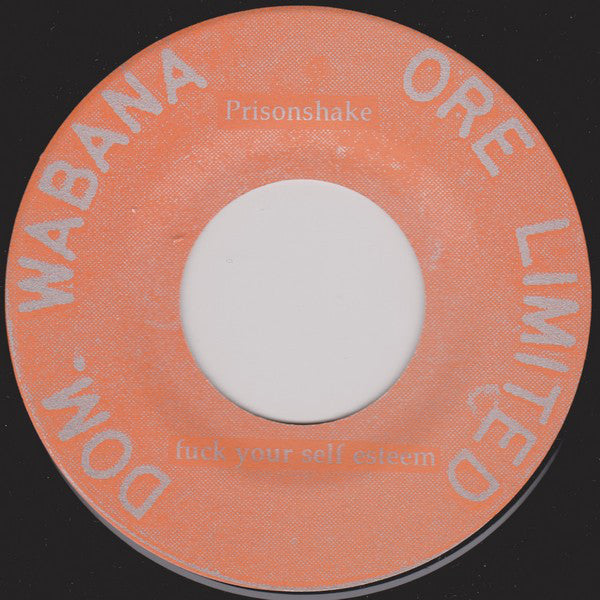 Prisonshake : Fuck Your Self Esteem (7", Single)