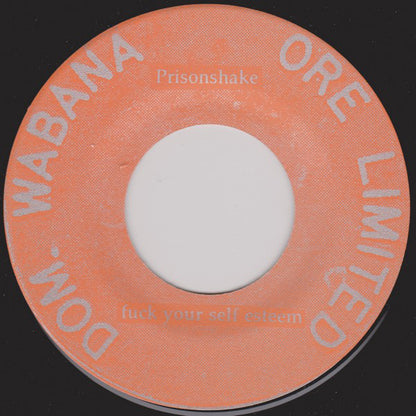 Prisonshake : Fuck Your Self Esteem (7", Single)