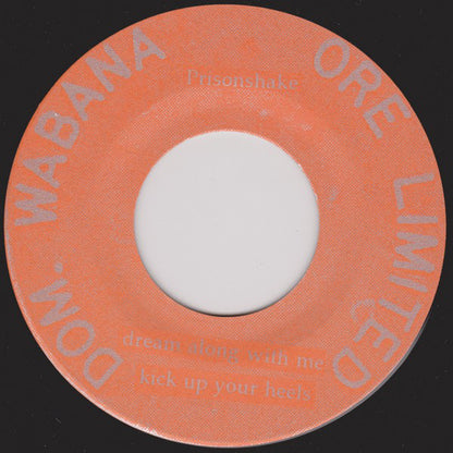 Prisonshake : Fuck Your Self Esteem (7", Single)