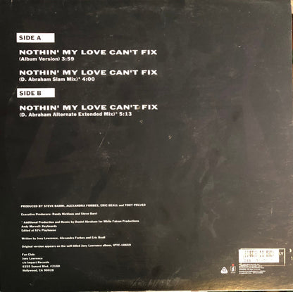 Joey Lawrence : Nothin' My Love Can't Fix (12")