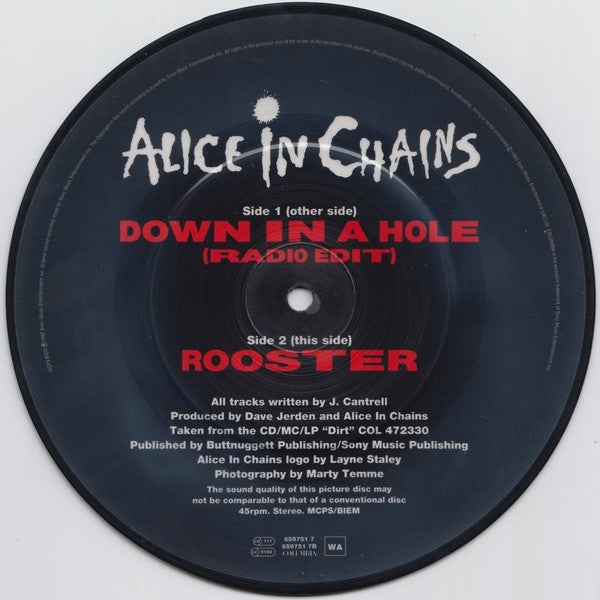 Alice In Chains : Down In A Hole (7", Single, Ltd, Pic)