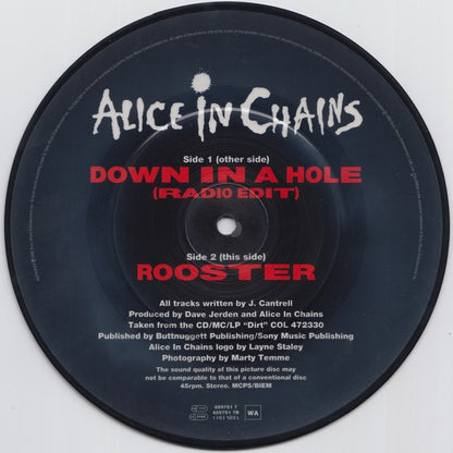 Alice In Chains : Down In A Hole (7", Single, Ltd, Pic)