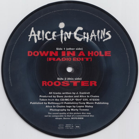 Alice In Chains : Down In A Hole (7", Single, Ltd, Pic)