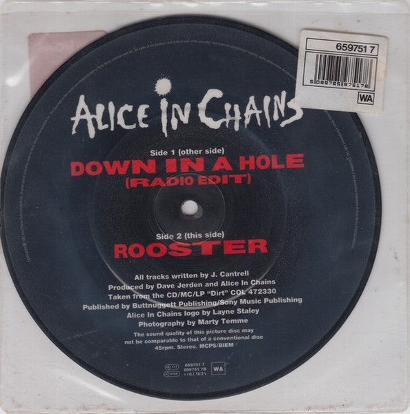 Alice In Chains : Down In A Hole (7", Single, Ltd, Pic)
