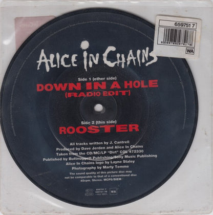 Alice In Chains : Down In A Hole (7", Single, Ltd, Pic)