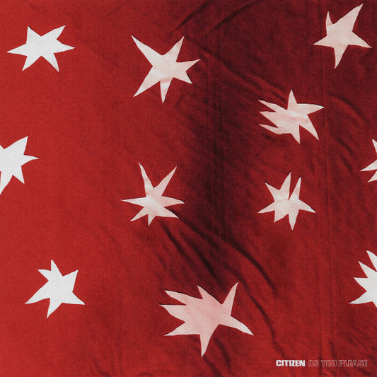 CitiZen (10) : As You Please (CD, Album)