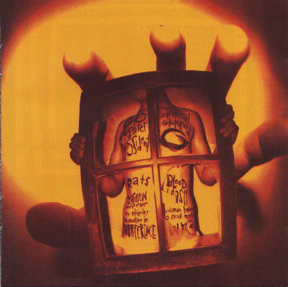 Pearl Jam : Vs. (CD, Album, DAD)