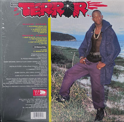 Terror Fabulous : Terror (LP, Album)