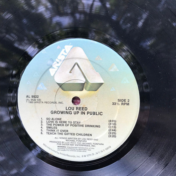 Lou Reed : Growing Up In Public (LP, Album)