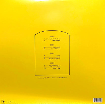 MGMT : Little Dark Age (2xLP, Album, 180)