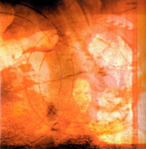 The Hope Conspiracy : Endnote (CD, Album, O-C)