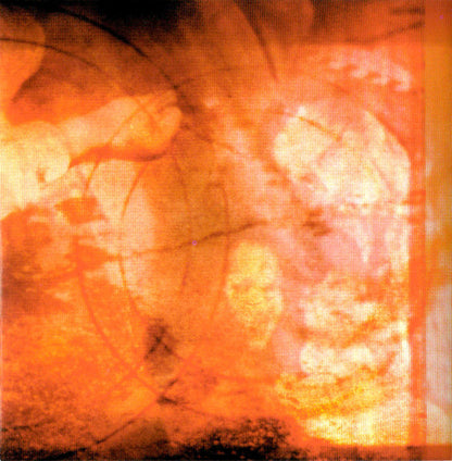 The Hope Conspiracy : Endnote (CD, Album, O-C)