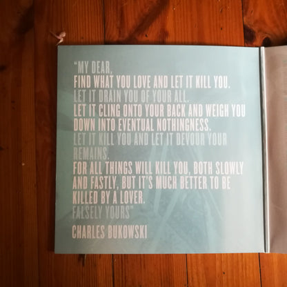 Moose Blood : I Don't Think I Can Do This Anymore (LP, Album, Sil)
