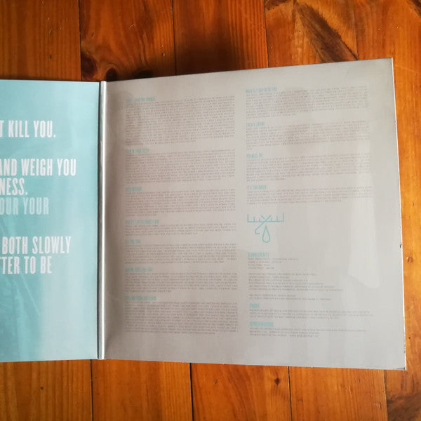 Moose Blood : I Don't Think I Can Do This Anymore (LP, Album, Sil)