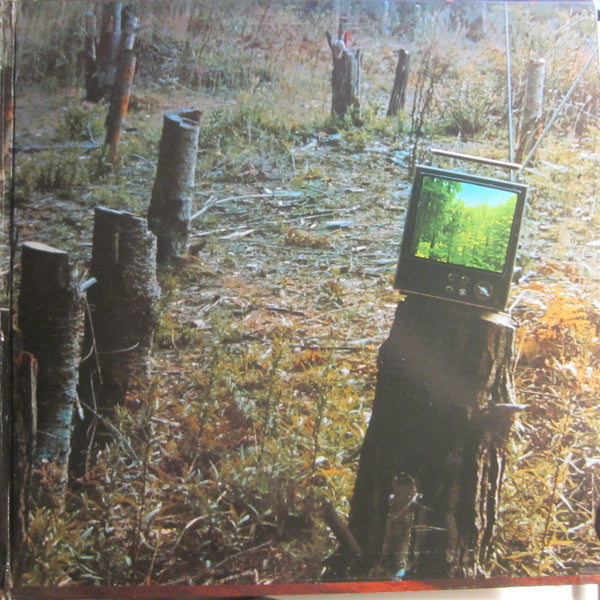 Gene Parsons : Kindling (LP, Album, Pit)