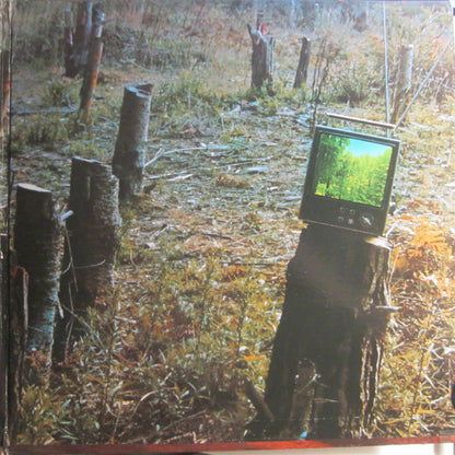 Gene Parsons : Kindling (LP, Album, Pit)