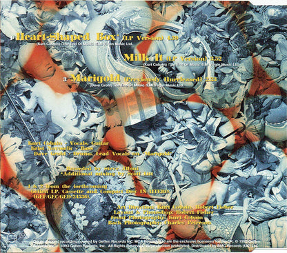Nirvana : Heart-Shaped Box (CD, Single, RE)