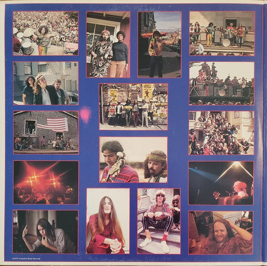 Grateful Dead* : Steal Your Face (2xLP, Album, Ter)