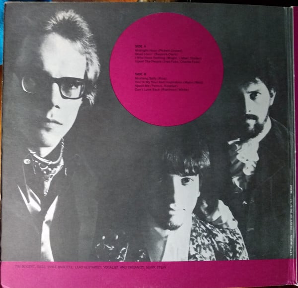The Pigeons (2) : While The World Was Eating Vanilla Fudge (LP, Album, Ter)
