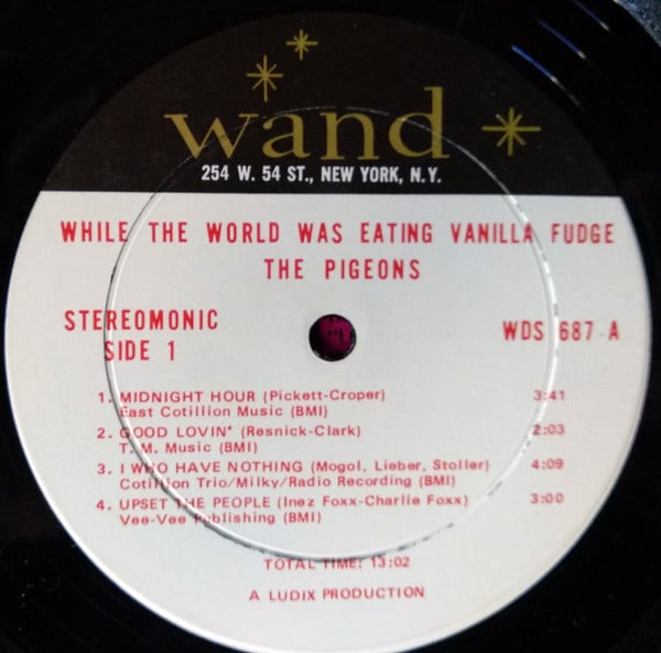 The Pigeons (2) : While The World Was Eating Vanilla Fudge (LP, Album, Ter)