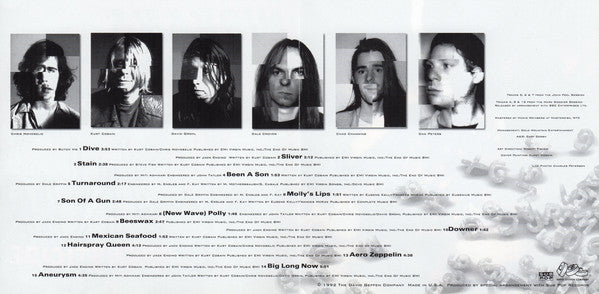 Nirvana : Incesticide (CD, Comp, RE)