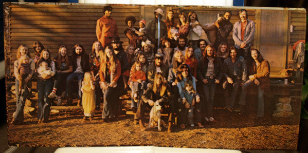 The Allman Brothers Band : Brothers And Sisters (LP, Album, Pit)