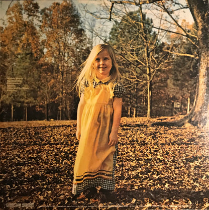 The Allman Brothers Band : Brothers And Sisters (LP, Album, Pit)