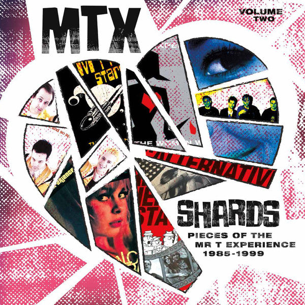 The Mr. T Experience : Shards Vol. 2 (LP, Comp, RM, 180)