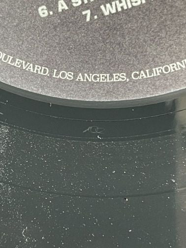 Bad Religion : The New America (LP, Album, RE)