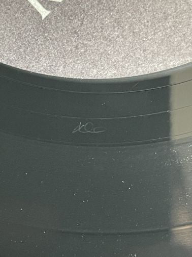 Bad Religion : The New America (LP, Album, RE)