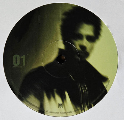 Soundgarden : A-Sides (2xLP, Comp, RE)