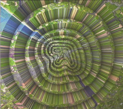 Aphex Twin : Collapse EP (CD, EP)