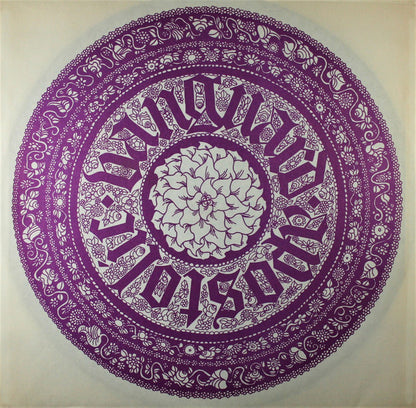 Larry Coryell : Coryell (LP, Album, Pit)