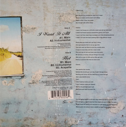Ms. Thing : I Want It All (12")
