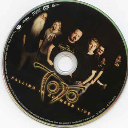Toto : Falling In Between Live (DVD-V, Multichannel, NTSC)