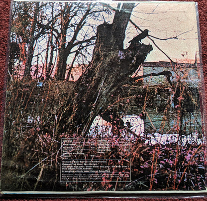 Black Sabbath : Black Sabbath (LP, Album, RE, RP)