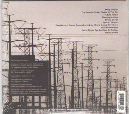 Swervedriver : Future Ruins (CD, Album)