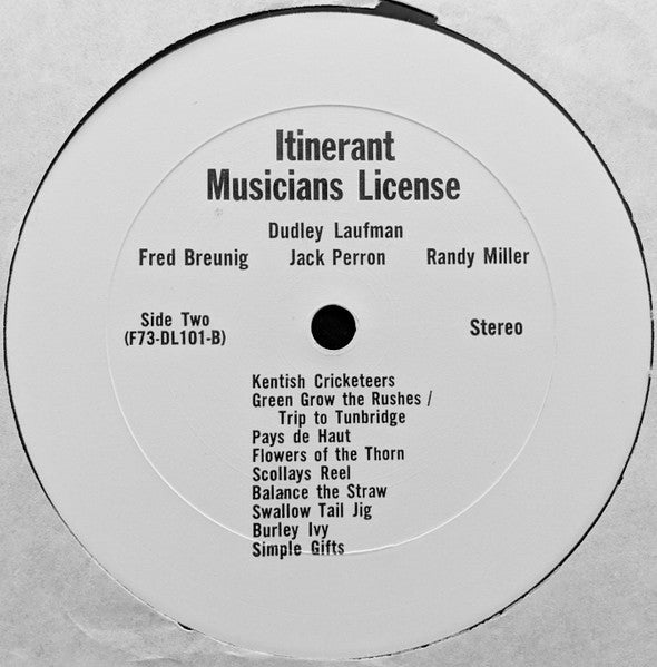 Itinerant Musicians License : Itinerant Musicians License (LP, Album)
