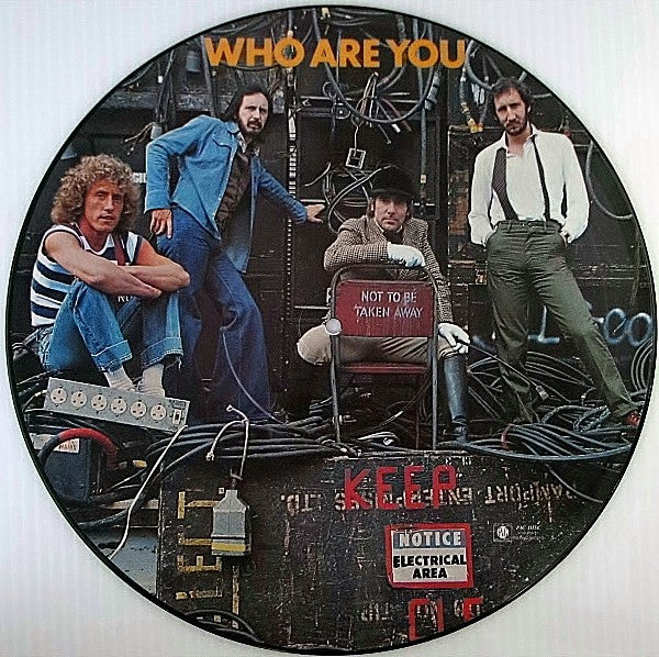 The Who : Who Are You (LP, Album, Pic)
