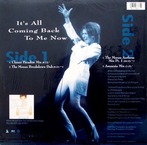 Celine Dion* : It's All Coming Back To Me Now (12", Single)