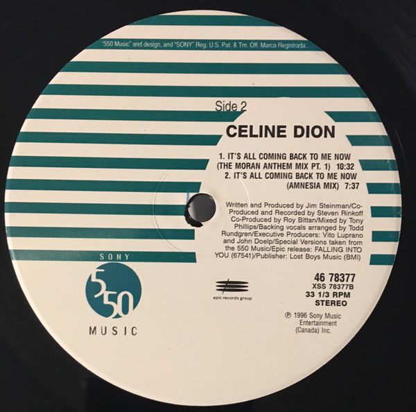 Celine Dion* : It's All Coming Back To Me Now (12", Single)