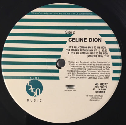 Celine Dion* : It's All Coming Back To Me Now (12", Single)