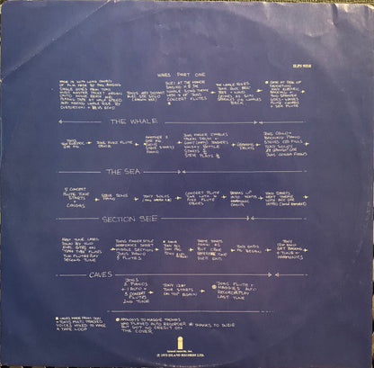 Jade Warrior : Waves (LP, Album, Gol)