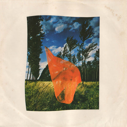 Pink Floyd : Wish You Were Here (LP, Album)