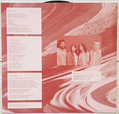 Mannequin Pussy : Patience (LP, Album)