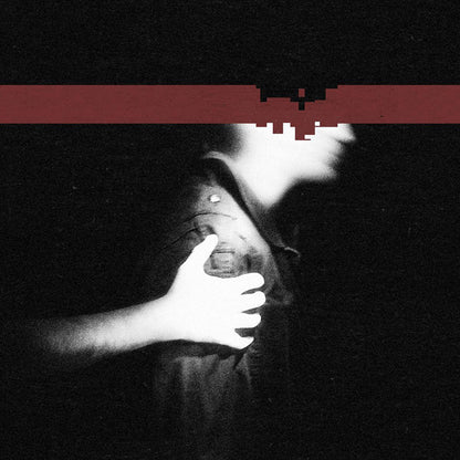 Nine Inch Nails : The Slip (CD, Album, Dis + DVD-V, NTSC, Dis + Ltd, Num)