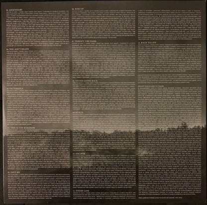 Skillet : Victorious (LP, Album)