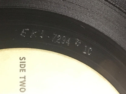 The Paul Butterfield Blues Band : The Paul Butterfield Blues Band (LP, Album, RE, Ter)