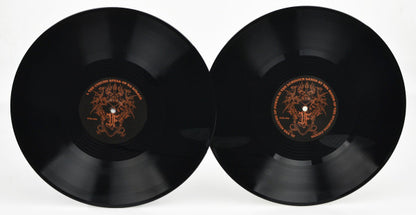 Druadan Forest : Dismal Spells From The Dragonrealm (2xLP, Album)